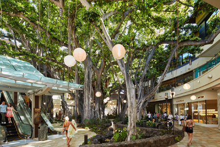 バニヤンコート