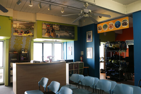 スキューバダイビングにサーフィンレッスンなど