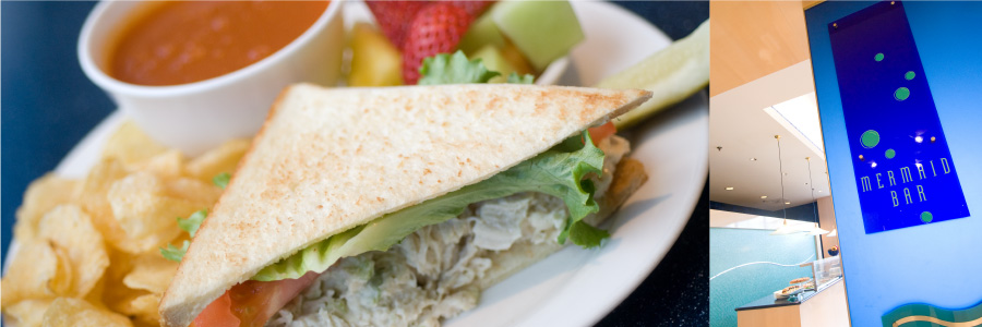 マーメイド・バー The Mermaid Bar