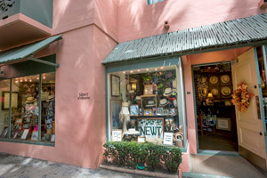 ニュート・アット・ザ・ロイヤル Newt at the Royal