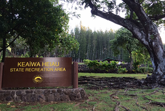 AuntyAyaのブログ、ハワイの暮らし、ハワイのスポーツとハッピーを求めて