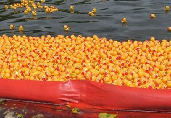 AuntyAyaのブログ、ハワイの暮らし、ハワイのスポーツとハッピーを求めて