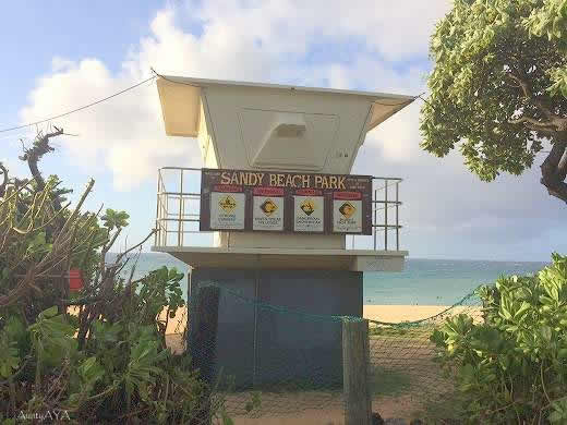 AuntyAyaのブログ、ハワイの暮らし、ハワイのスポーツとハッピーを求めて