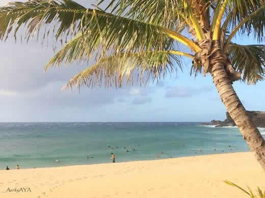 AuntyAyaのブログ、ハワイの暮らし、ハワイのスポーツとハッピーを求めて