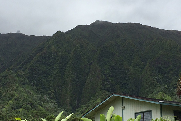 AuntyAyaのブログ、ハワイの暮らし、ハワイのスポーツとハッピーを求めて