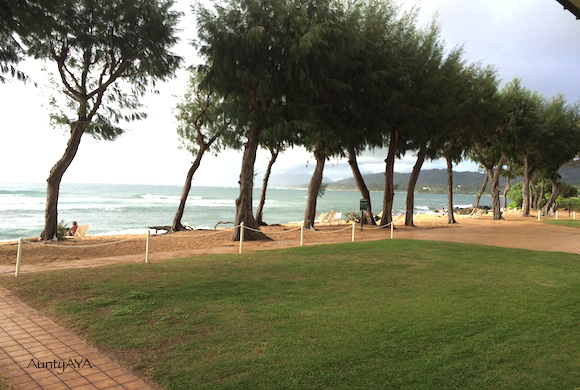 AuntyAyaのブログ、ハワイの暮らし、ハワイのスポーツとハッピーを求めて