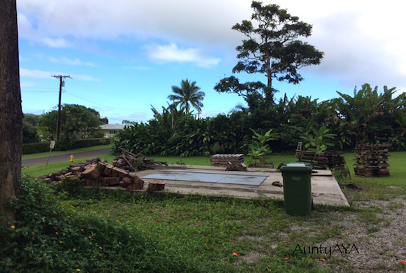AuntyAyaのブログ、ハワイの暮らし、ハワイのスポーツとハッピーを求めて