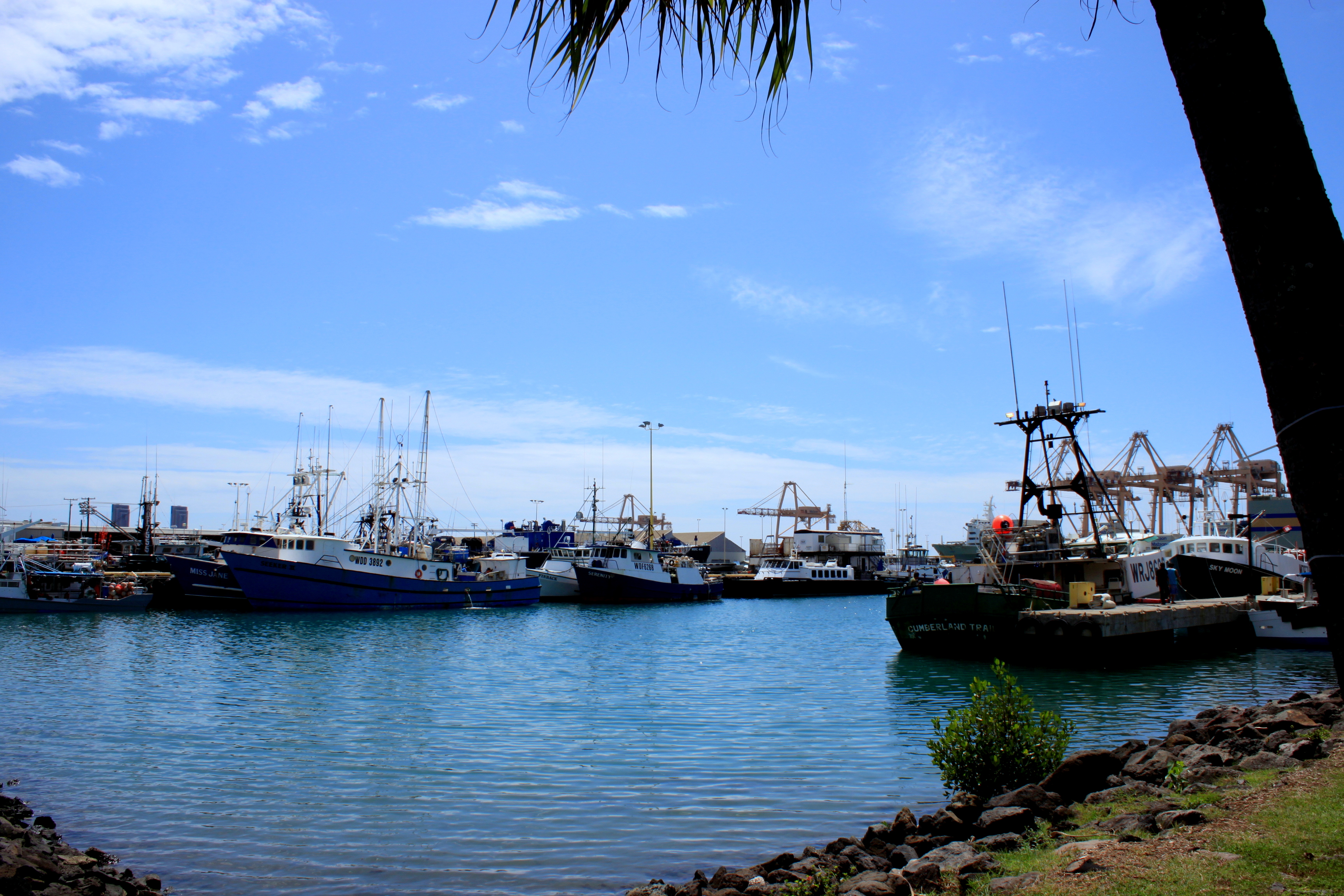 ハワイの新鮮なシーフードが楽しめるレストラン、アンクルズ・フィッシュ・マーケット&グリル