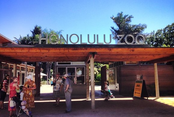 ココのブログ、ハワイで子育て&ローカル情報