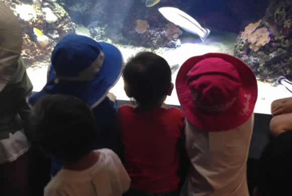 ココのブログ、ハワイで子育て＆ローカル情報