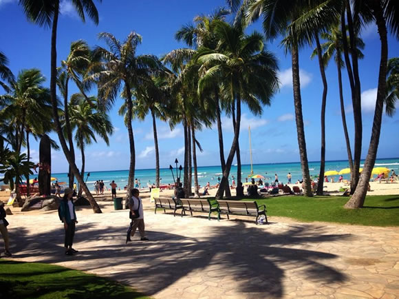 ココのブログ、ハワイで子育て&ローカル情報