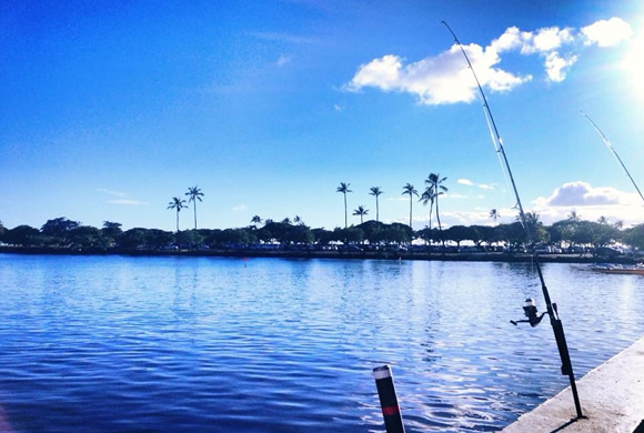 ココのブログ、ハワイで子育て＆ローカル情報
