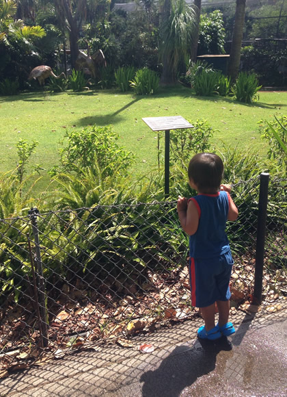 ココのブログ、ハワイで子育て&ローカル情報