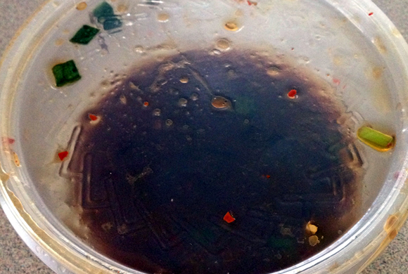 ココのブログ、ハワイで子育て&ローカル情報