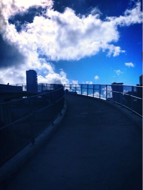 ココのブログ、ハワイで子育て&ローカル情報