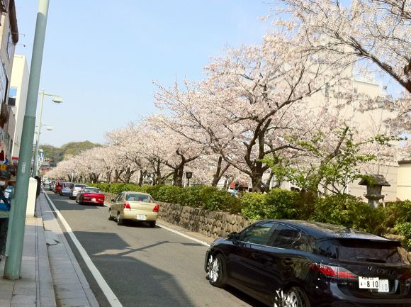 キョーコのブログ、ハワイの暮らし、地元ニュース情報