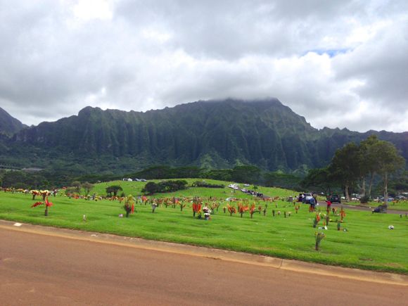 キョーコのブログ、ハワイの暮らし、地元ニュース情報