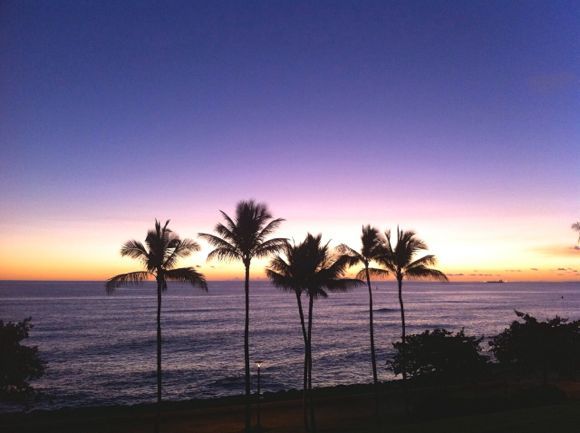 キョーコのブログ、ハワイの暮らし、地元ニュース情報