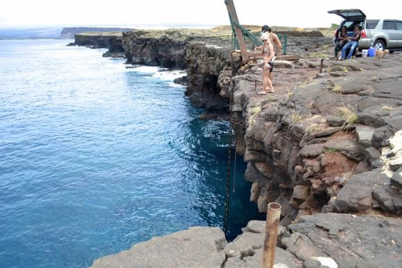 キョーコのブログ、ハワイの暮らし、地元ニュース情報