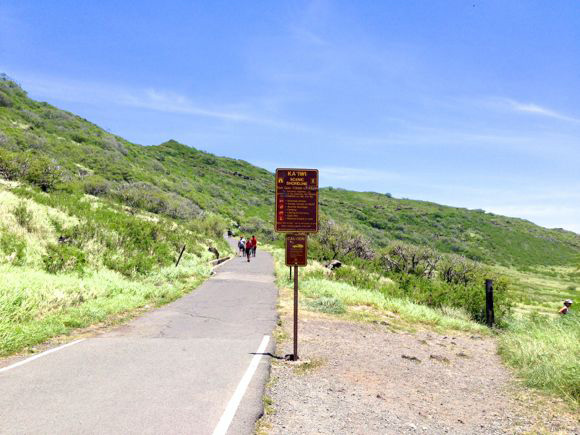 キョーコのブログ、ハワイの暮らし、地元ニュース情報