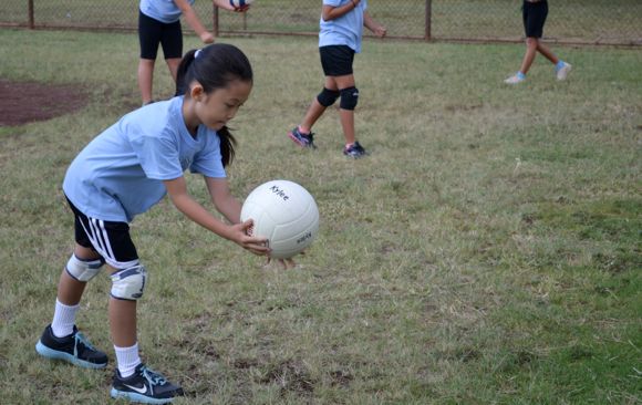 キョーコのブログ、ハワイの暮らし、地元ニュース情報