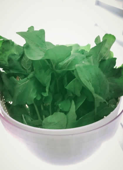 Vinceのブログ、奥ハワイのすてき