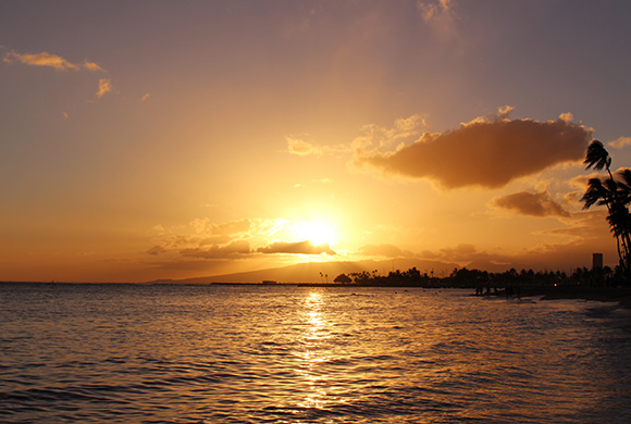 ハワイでインターン生活!ビザ取得・後編