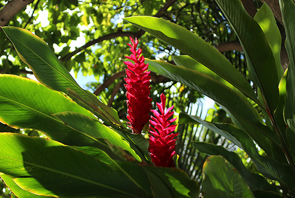 出発前の最終準備