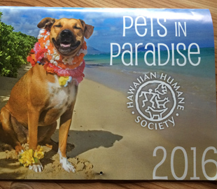 ハワイ在住者がこだわるハワイ限定クリスマスプレゼント