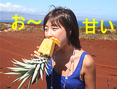 パイナップルが食べ放題