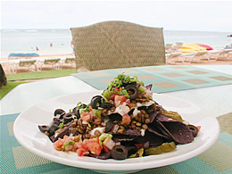 ベジタリアン・ナチョ