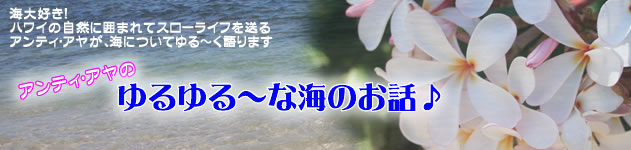 ゆるゆる~な海のお話