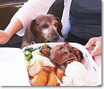 カハラ・モールにて