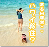 ハワイのビーチにて