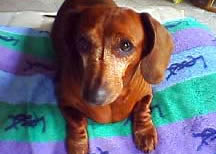 ラニカイ・ビーチで