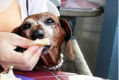 ハワイのビーチ