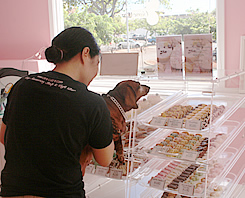 ペット犬とハワイ移住