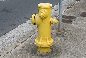 ハワイのパーキング