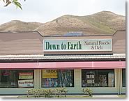 自然食品店、ダウン・トゥ・アース