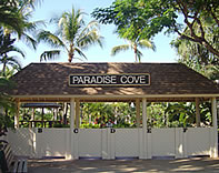 パラダイス・コーブ1