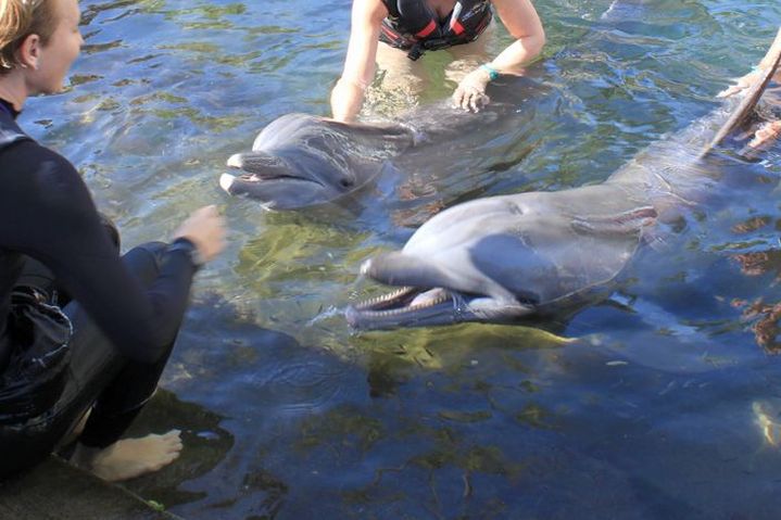 ハワイの高級リゾート、ザ・カハラ・ホテル&リゾート