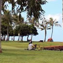 アロハ読者インタビュー　ＨＬＣ