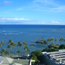 アロハ読者インタビュー