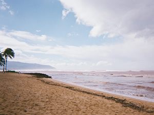 雨の後のノースショア