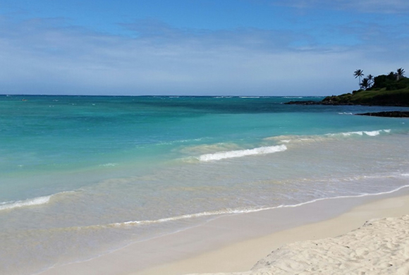ハワイ旅行に当選した河村さんと五十嵐さん