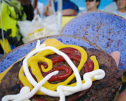 野生のイルカとヒーリング