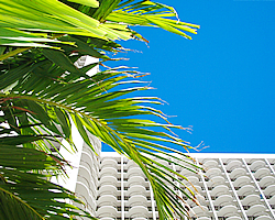 ワイキキビーチ・マリオット・リゾート&スパ