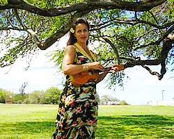 野生のイルカとヒーリング