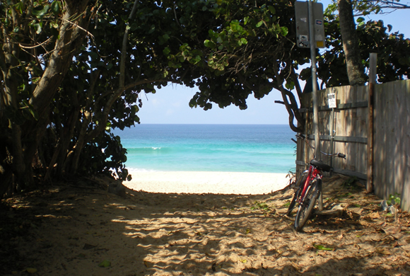 ハワイ旅行に当選した中村さんご夫妻