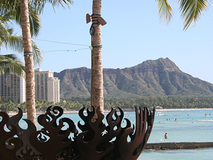 留守番の猫、ふくちゃん